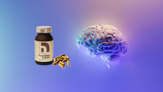 How fucoidan helps your brain!