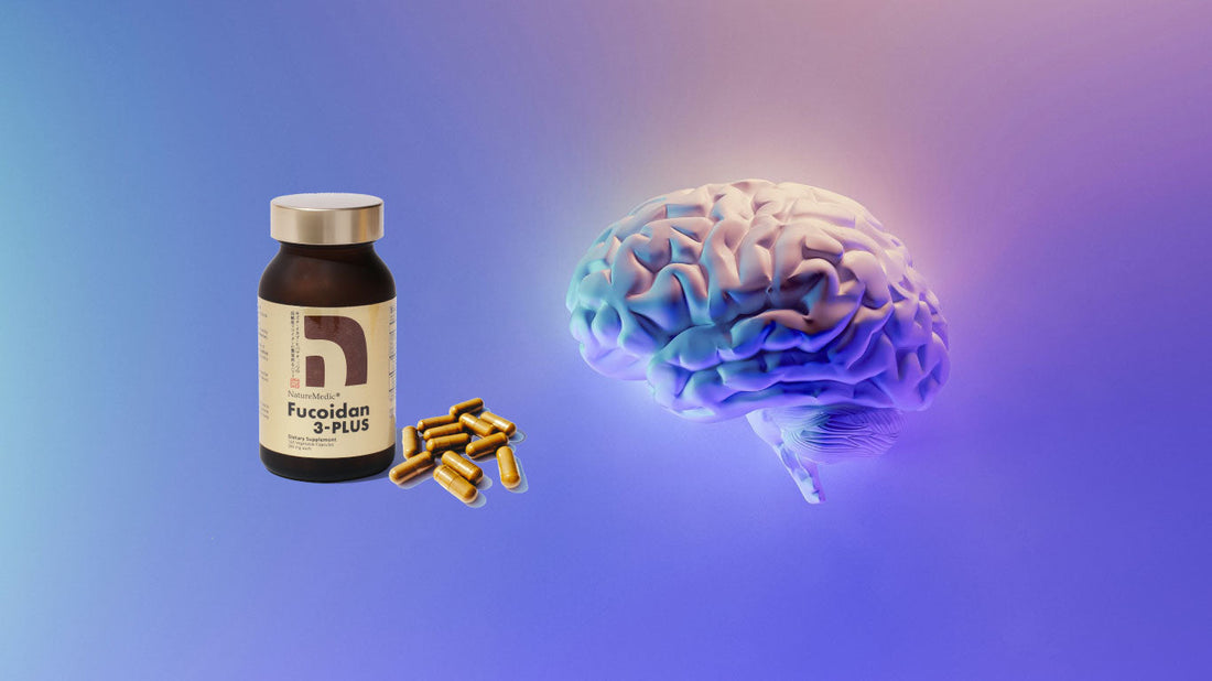 How fucoidan helps your brain!