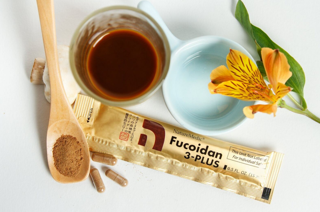 Fucoidan là gì? Công dụng, cơ chế hoạt động  | Giải pháp tăng miễn dịch từ Nhật Bản