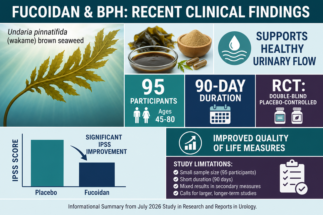 Fucoidan Human Research: A Look at Recent Clinical Findings on Undaria pinnatifida