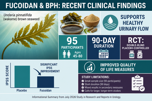 Fucoidan Human Research: A Look at Recent Clinical Findings on Undaria pinnatifida