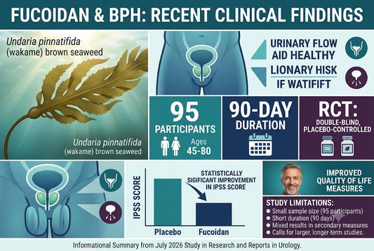 Fucoidan Human Research: A Look at Recent Clinical Findings on Undaria pinnatifida