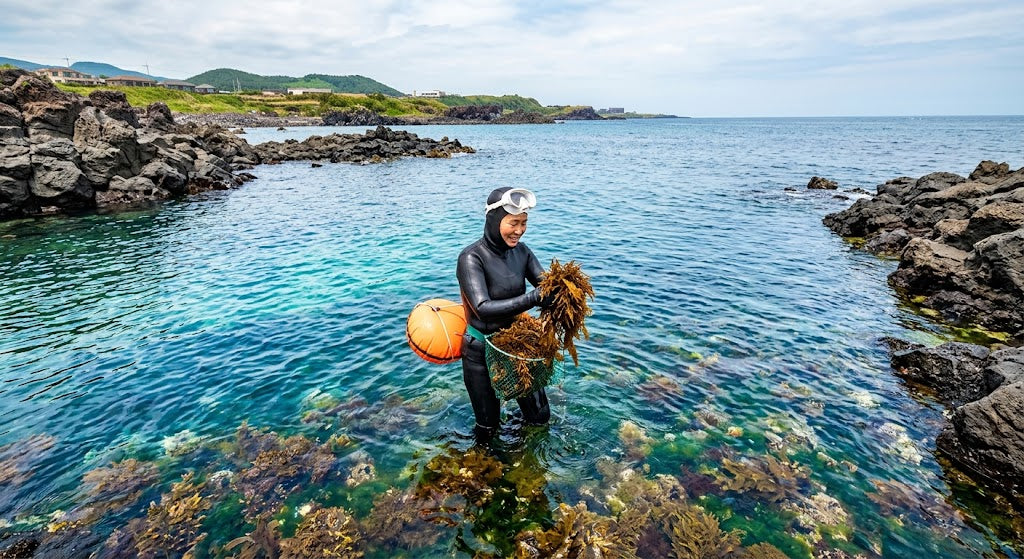 Why Has Seaweed Long Been a Part of the Diet in Okinawa and Among Jeju?