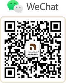 WeChat QR